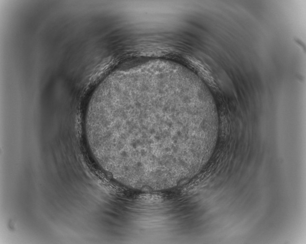 X0000097810354200804110957