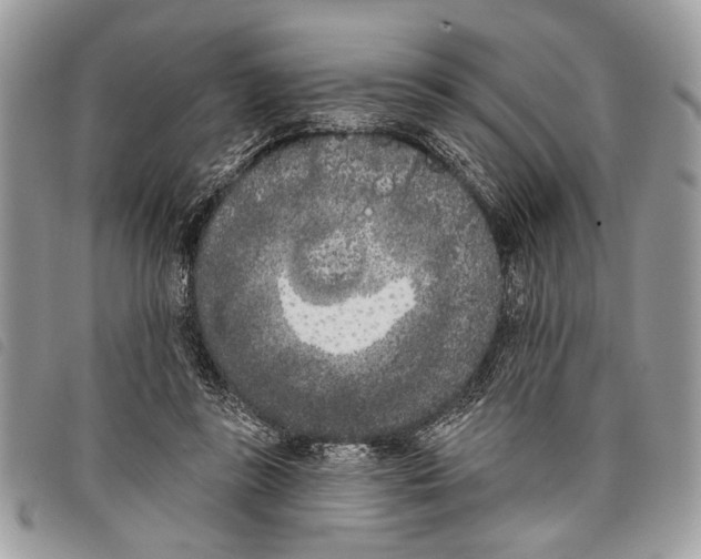 X0000097810355200804110957