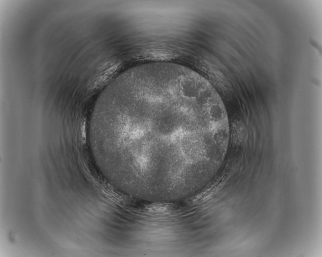 X0000097810358200804110957