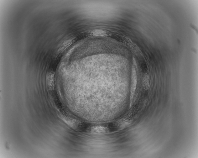 X0000097810360200804110957