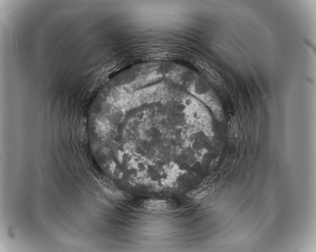 X0000097810361200804110957