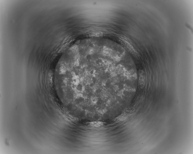 X0000097810363200804110957