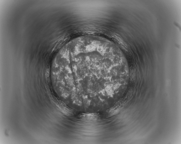 X0000097810365200804110957