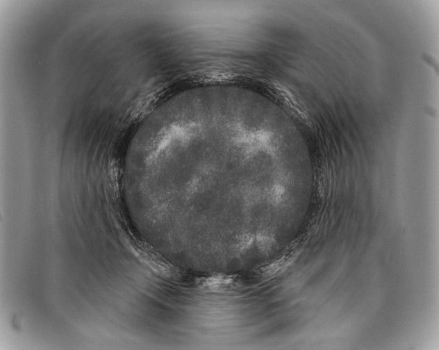 X0000097810366200804110957