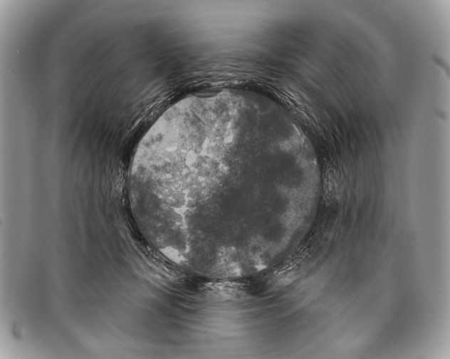 X0000097810367200804110957