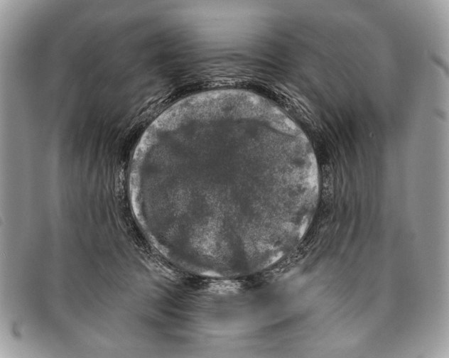 X0000097810369200804110957