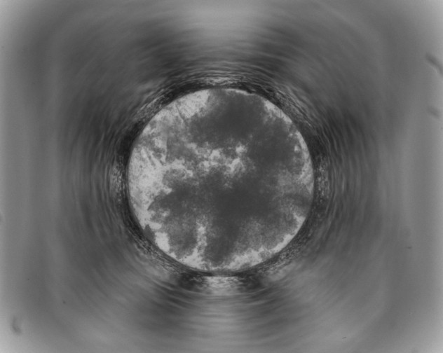 X0000097810371200804110957