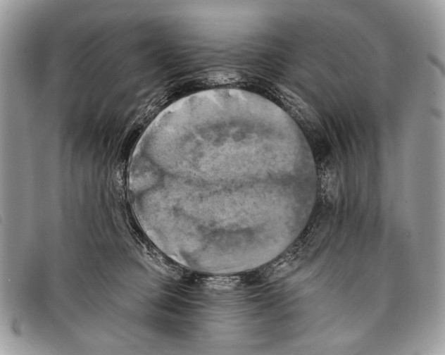 X0000097810373200804110957