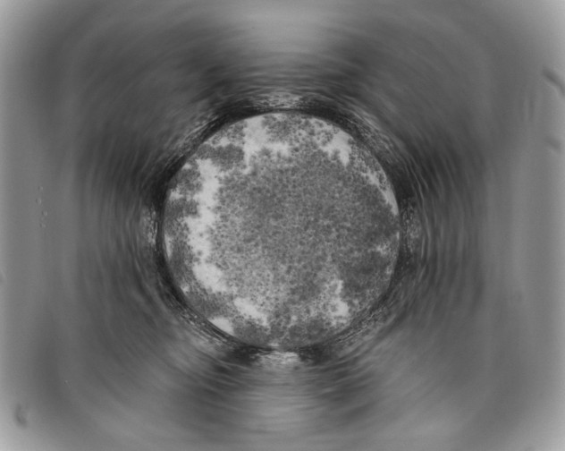 X0000097810374200804110957