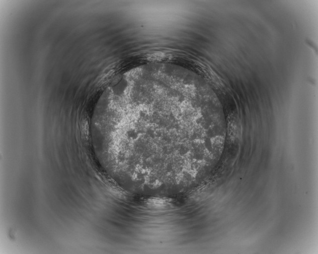 X0000097810375200804110957