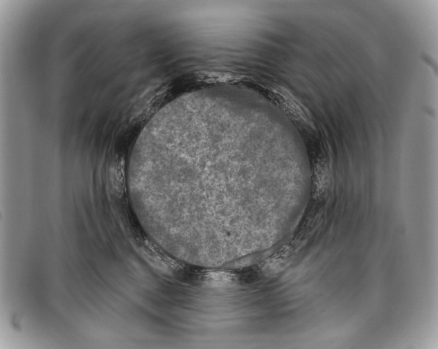 X0000097810376200804110957