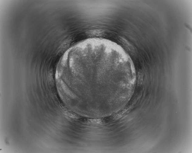 X0000097810377200804110957