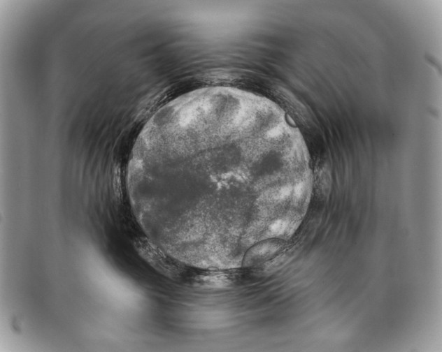 X0000097810381200804110957