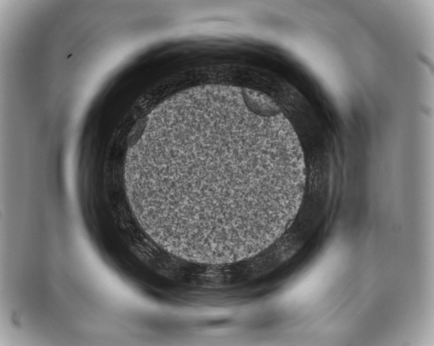 X0000097810383200804110957