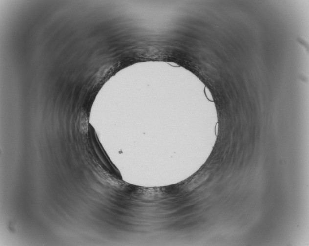 X0000097810384200804110957