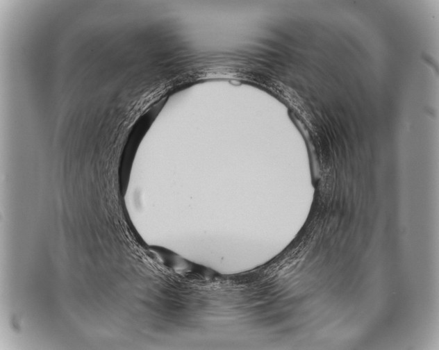 X0000097810385200804110956