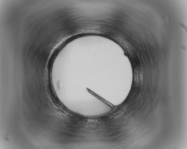 X0000097810388200804110956