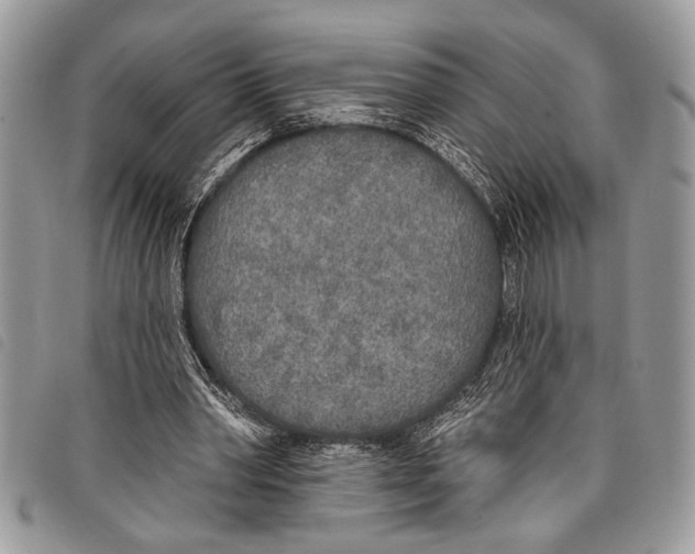 X0000097810390200804110956