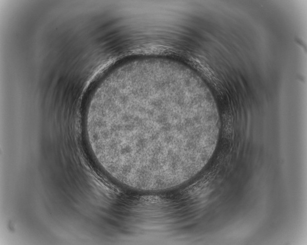 X0000097810392200804110956