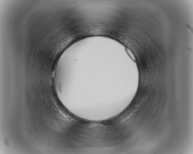 X0000097810393200804110956