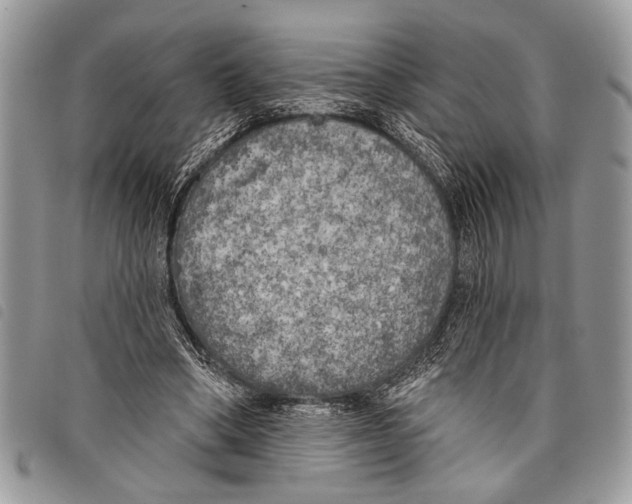 X0000097810394200804110956