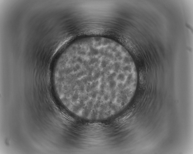 X0000097810396200804110956