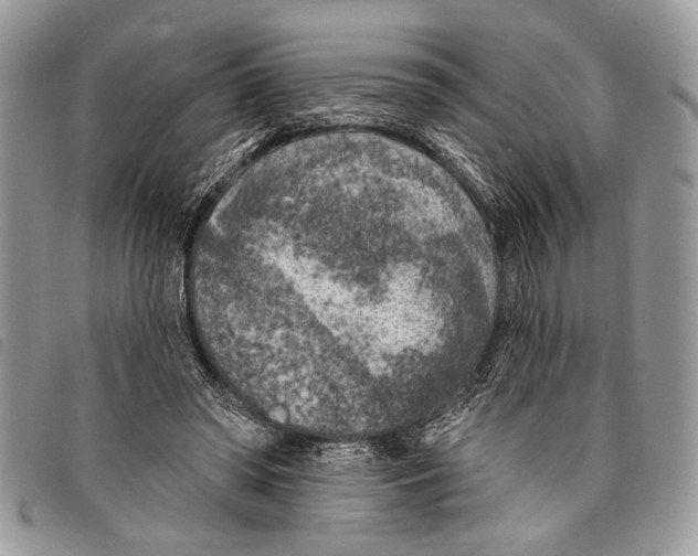 X0000097810398200804110956