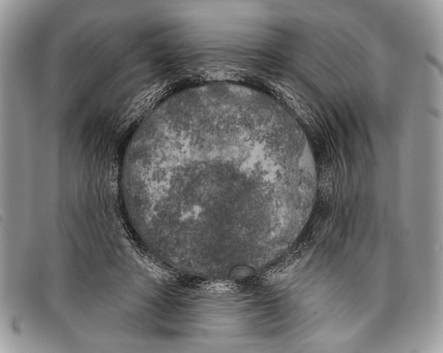 X0000097810402200804110956