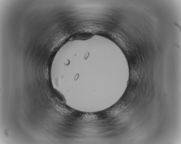 X0000097810403200804110956