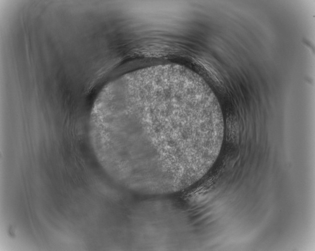 X0000097810404200804110956