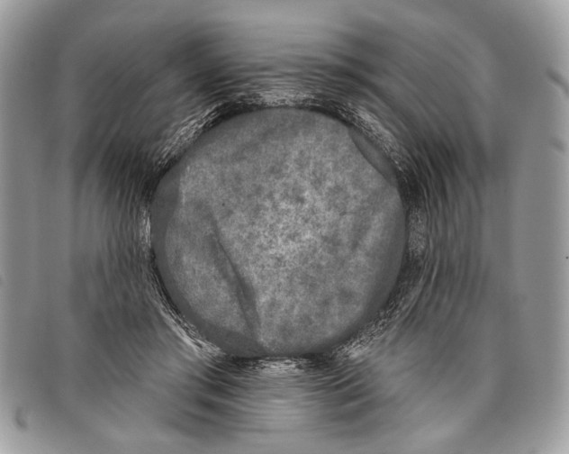 X0000097810405200804110956