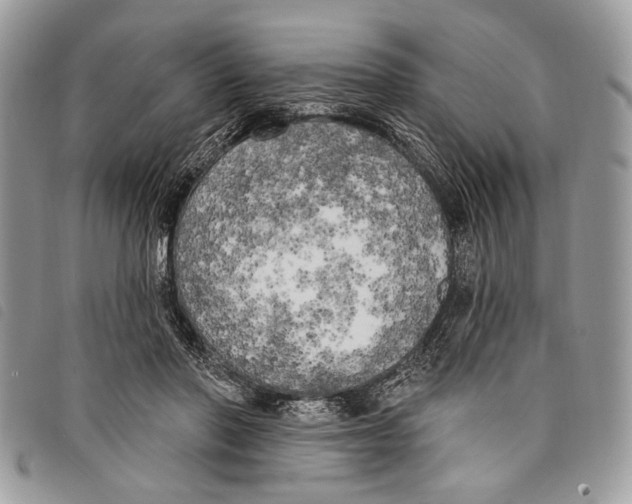 X0000097810406200804110956