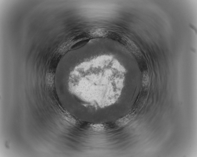 X0000097810409200804110956