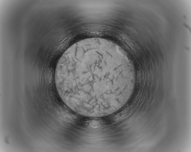 X0000097810412200804110956