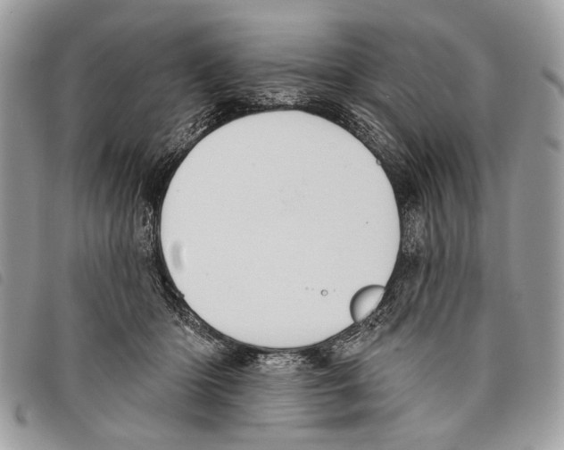 X0000097810414200804110956