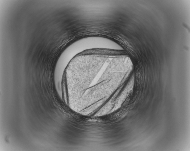 X0000097810415200804110956