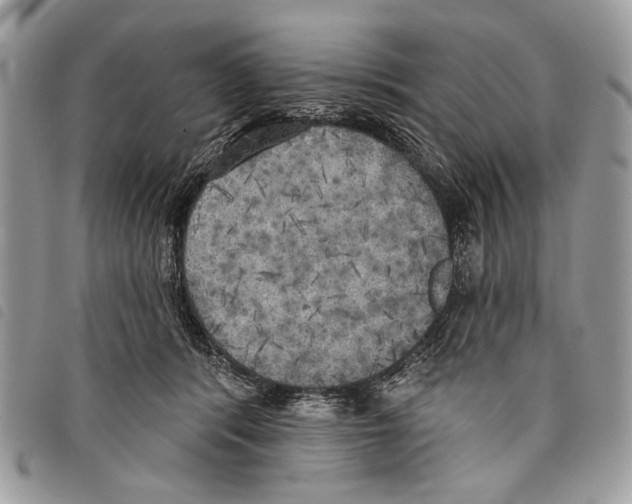 X0000097810416200804110956