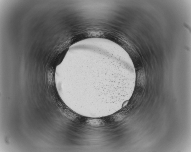 X0000097810417200804110956