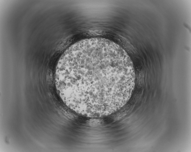 X0000097810418200804110956