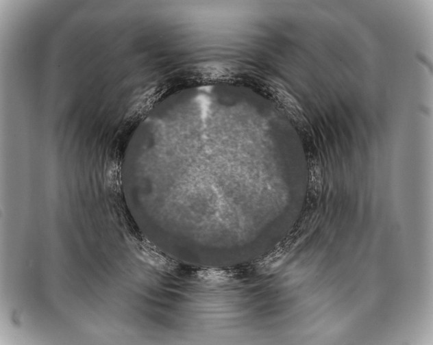 X0000097810419200804110956