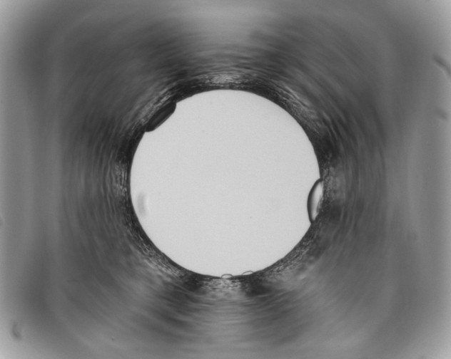 X0000097810421200804110956