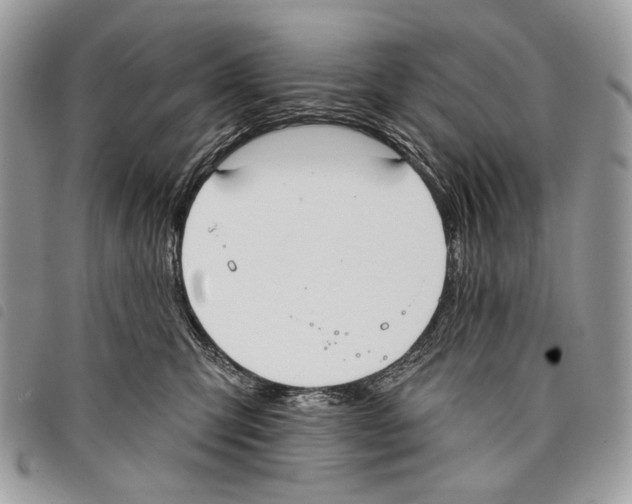 X0000097810423200804110956