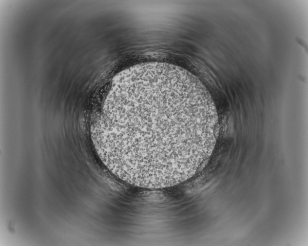 X0000097810424200804110956