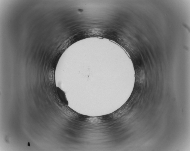 X0000097810425200804110956