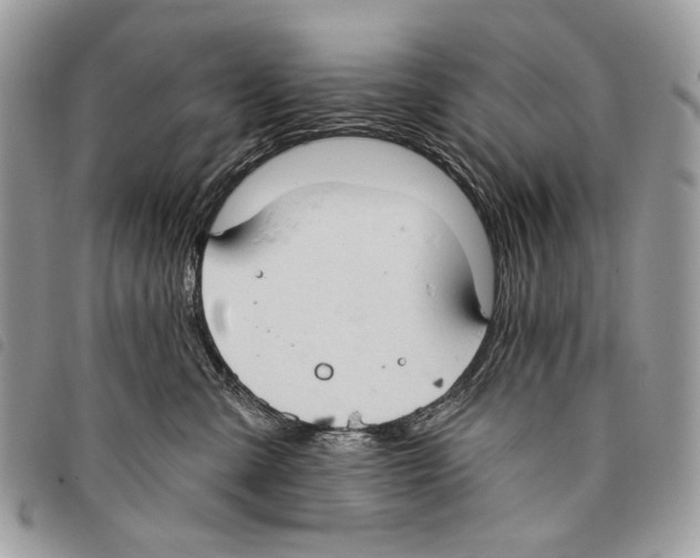 X0000097810427200804110956