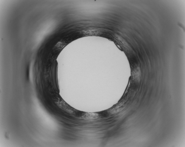 X0000097810429200804110956