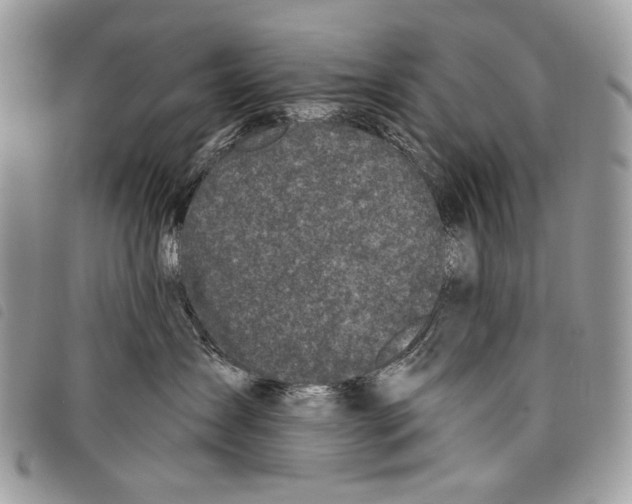 X0000097810431200804110956