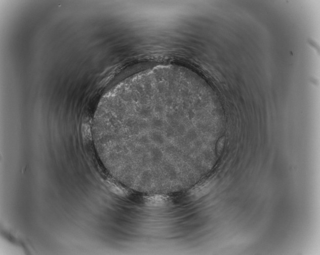 X0000097810432200804110956