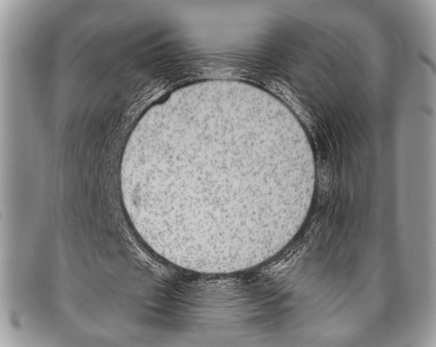 X0000097810433200804110955