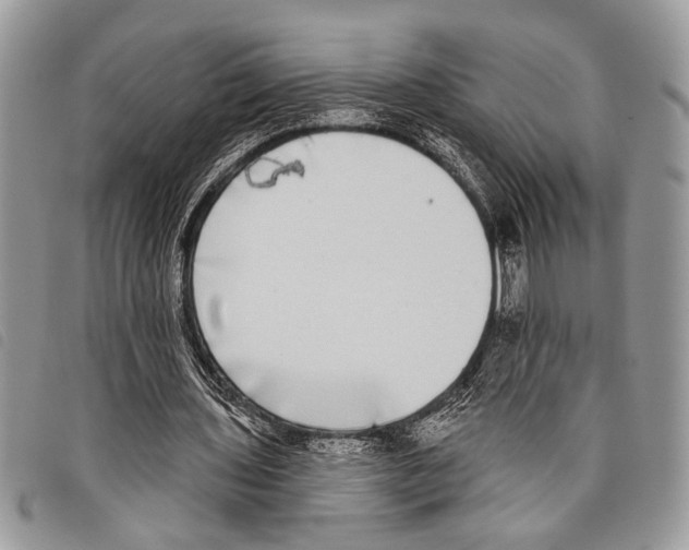 X0000097810435200804110955